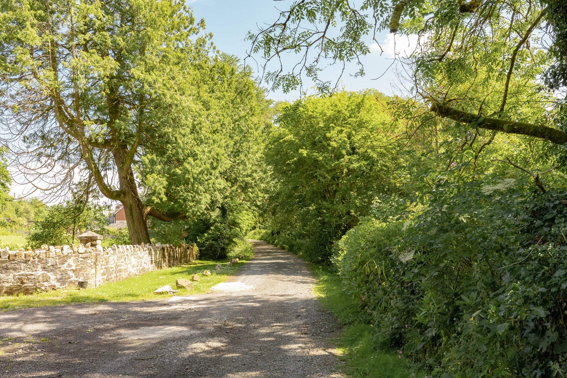 The lane up to Rossmoyne. 