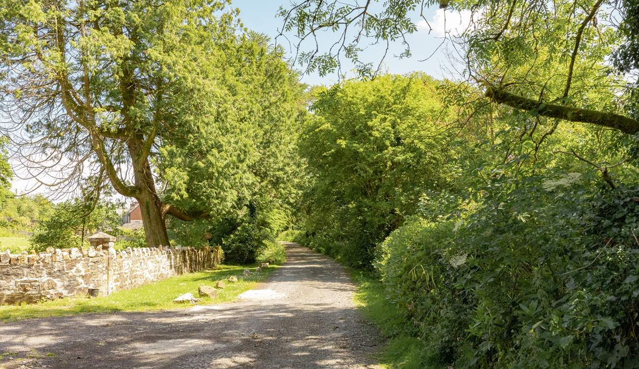 The lane up to Rossmoyne. 