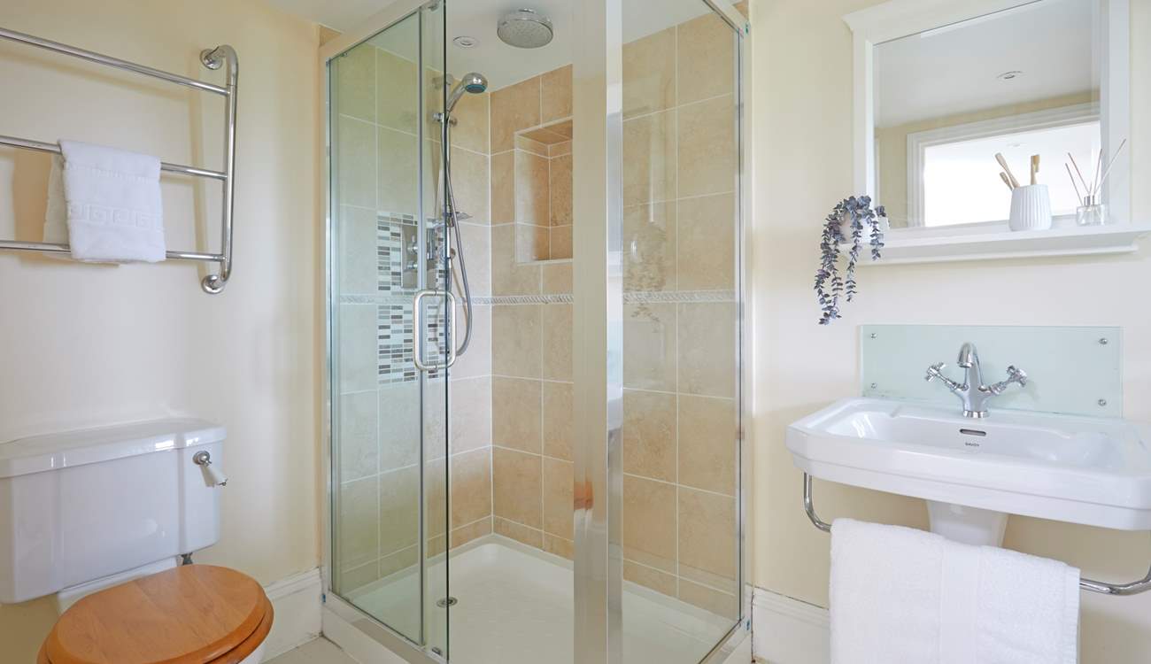 The lower ground floor family shower-room. 