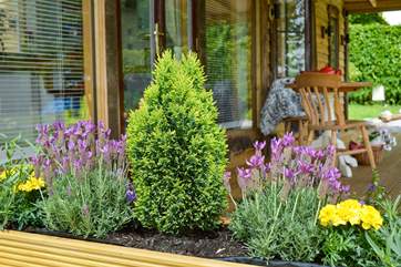 Pretty planters.