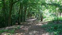 Lots of walks nearby.