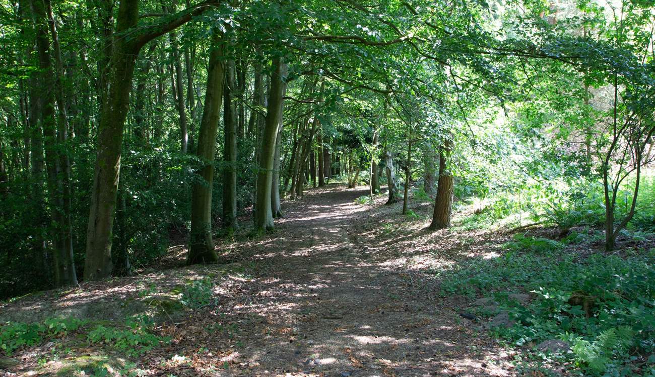 Lots of walks nearby.