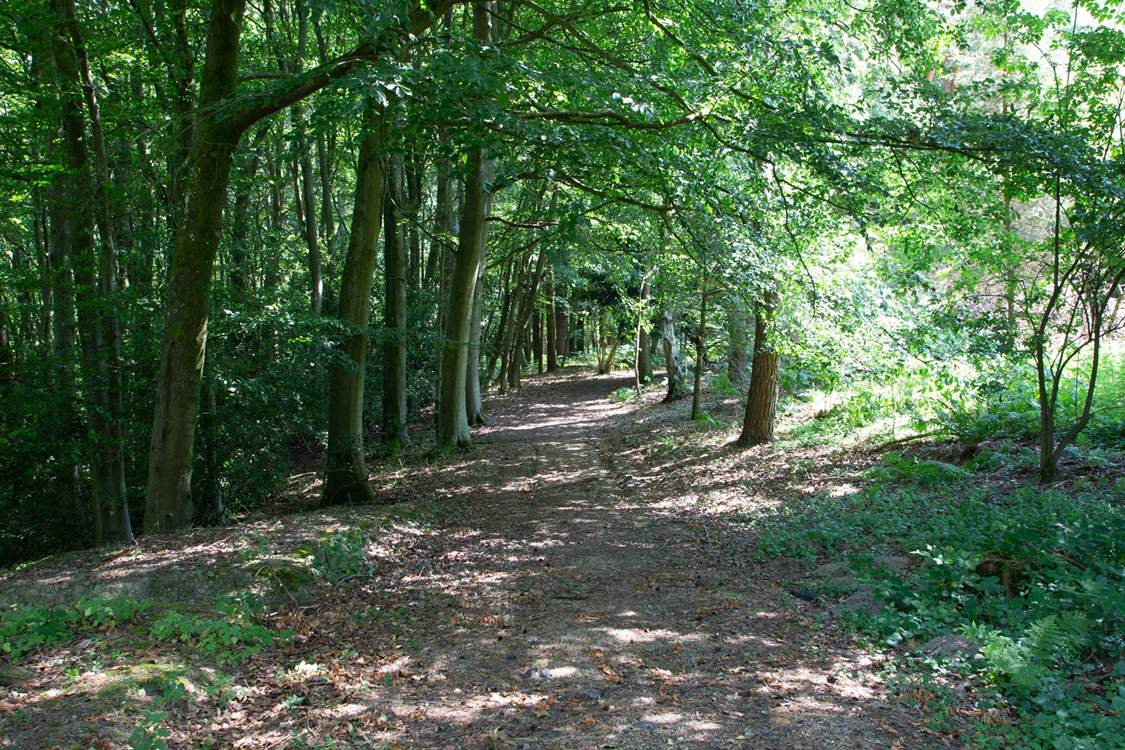 Lots of walks nearby.
