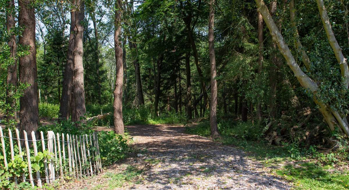 Access to woodland walks in this beautiful part of the High Weald Area of Outstanding Natural Beauty.