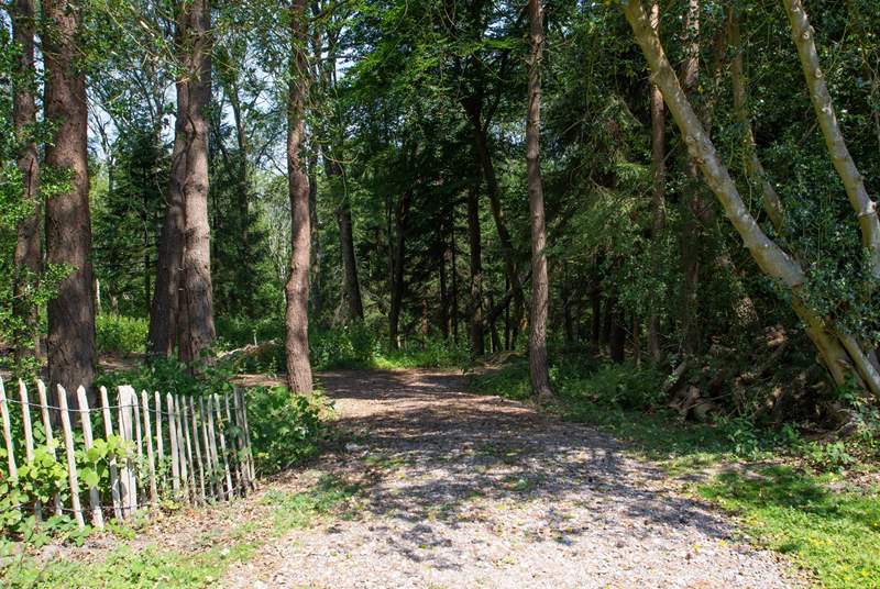 Access to woodland walks in this beautiful part of the High Weald AONB.