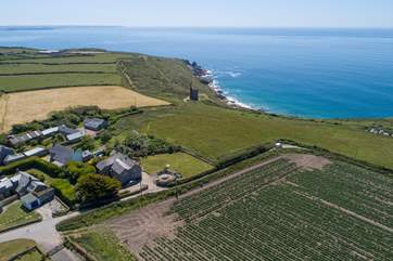 Welloe Rock is the last property on the lane with only gardens and fields before you reach the sea, this location is one of the best.