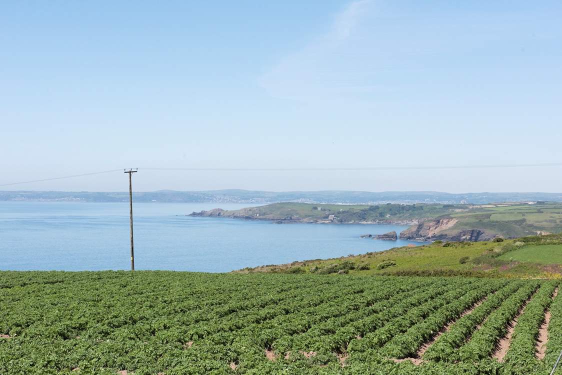 Views across the fields towards Marazion and Penzance.