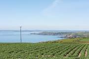 Views across the fields towards Marazion and Penzance.