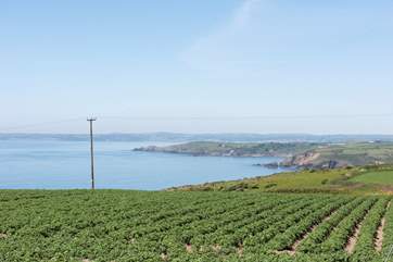 Views across the fields towards Marazion and Penzance.