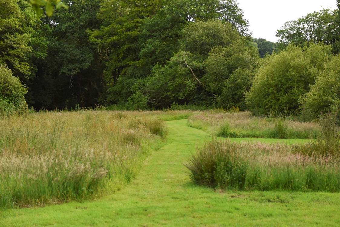 You are more than welcome to explore the owners' many acres of gorgeous grounds.