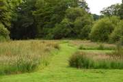 You are more than welcome to explore the owners' many acres of gorgeous grounds.