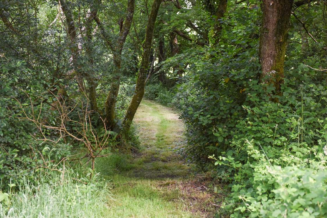 What kinds of wildlife will you spot along your way?