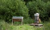 And bee hive! - Thumbnail Image