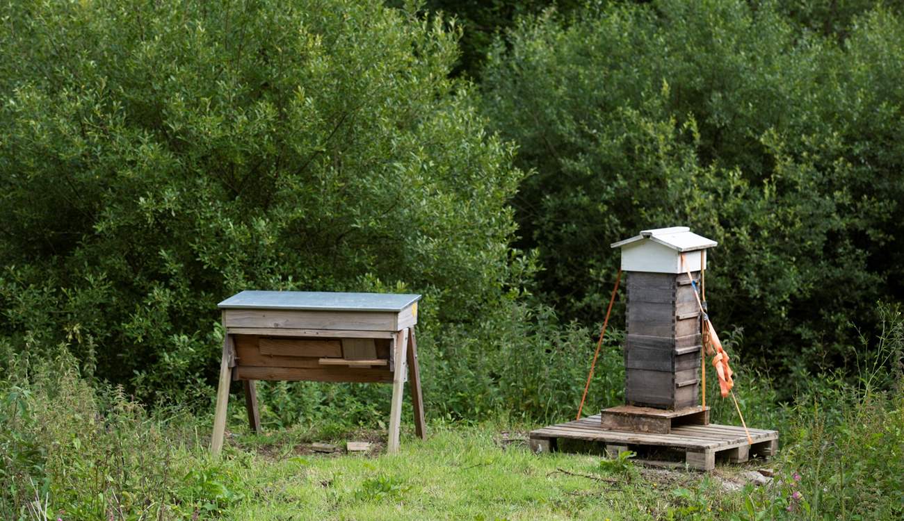 And bee hive!