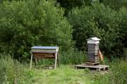 And bee hive!