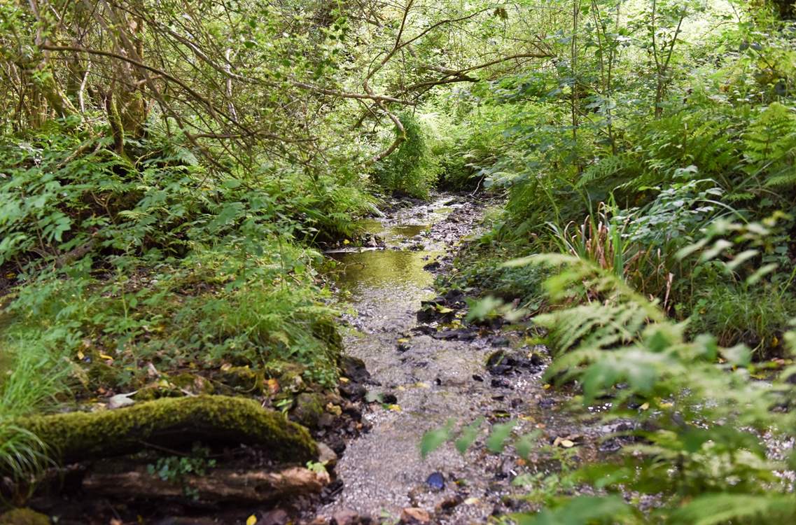 What will you discover whilst exploring?