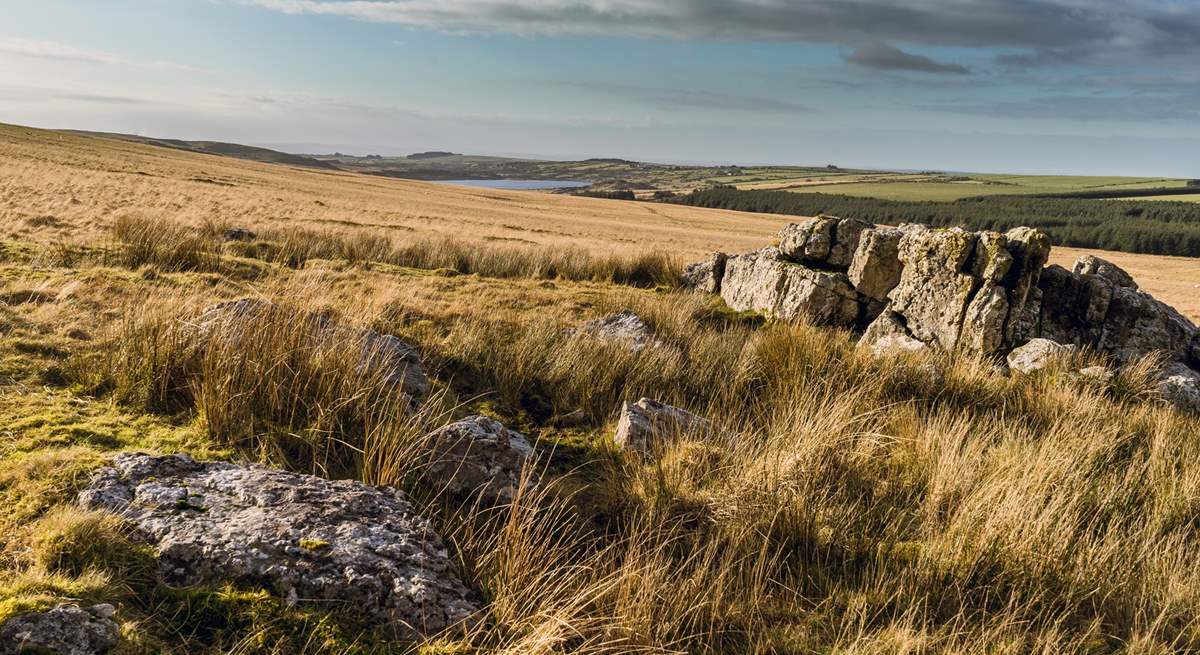 Bodmin Moor, with its 100 square miles of wide-open spaces and rock formations is within easy reach.