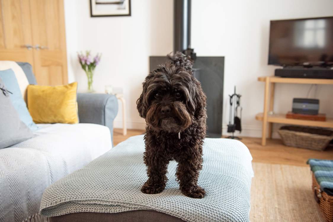 This is Doris and belongs to the owner.... quite the model...