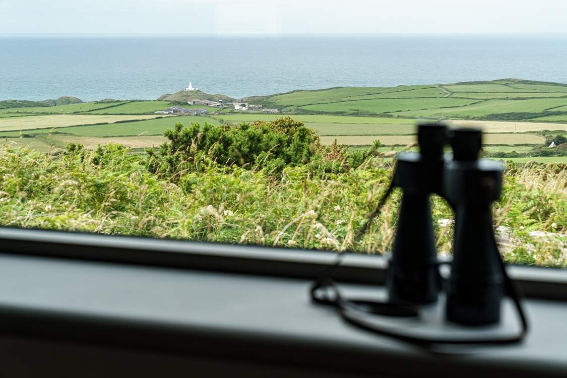 What a view!