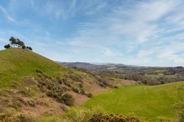 The views from the top of nearby Colmer's Hill are stunning.