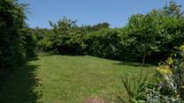 The lovingly maintained garden.