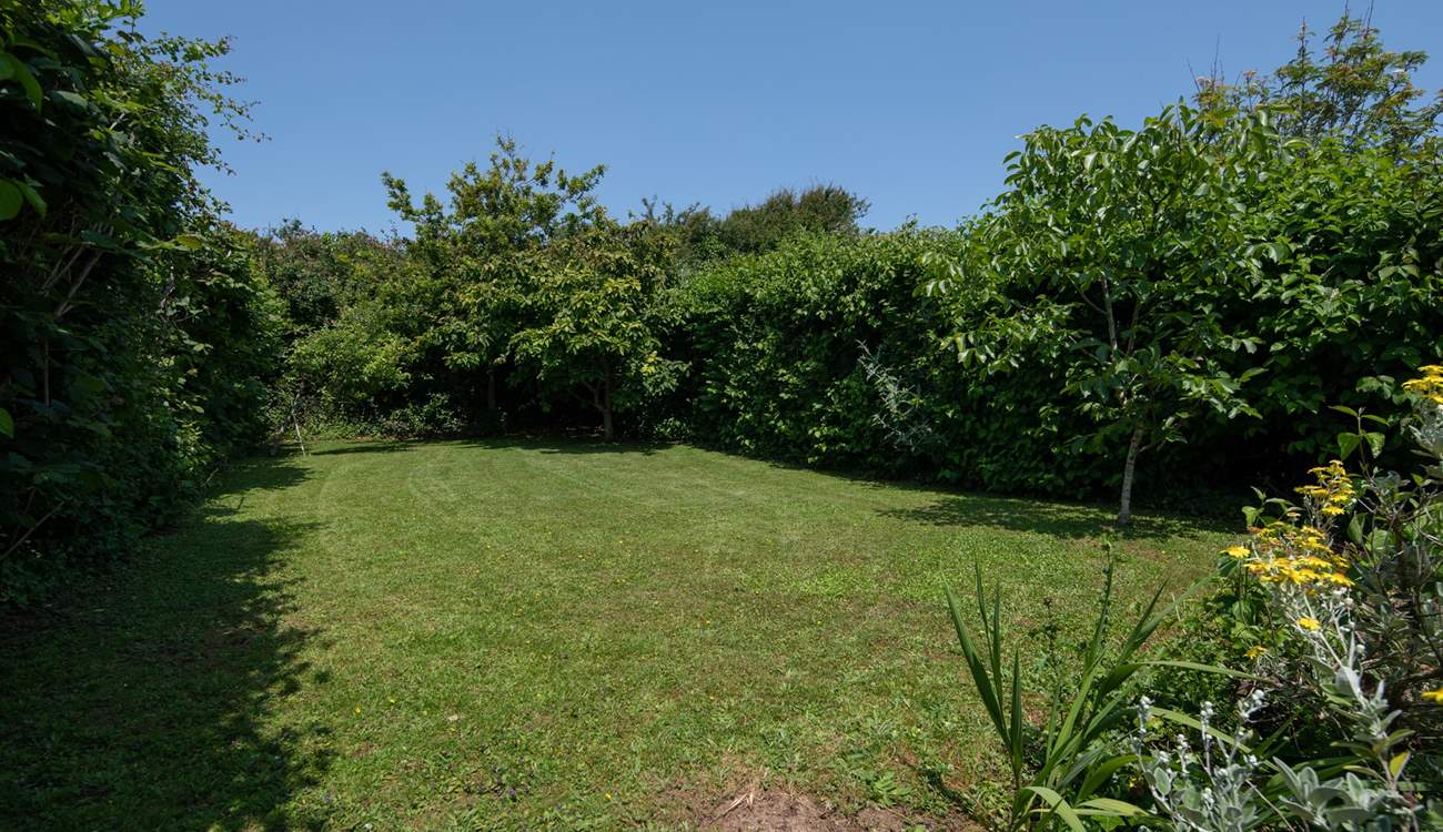 The lovingly maintained garden.