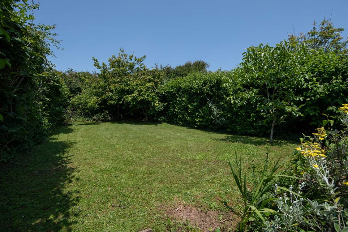 The lovingly maintained garden.
