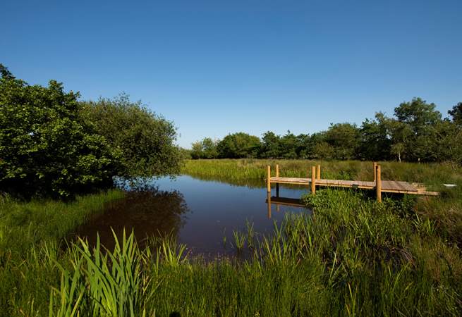 There is a fabulous lake on site, with a pontoon, which you are explore and try out some wild swimming. 