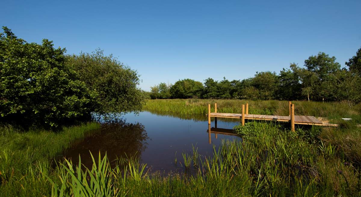 There is a fabulous lake on site, with a pontoon, which you are explore and try out some wild swimming. 