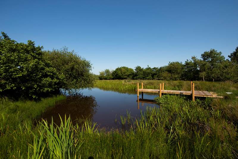 There is a fabulous lake on site, with a pontoon, which you are explore and try out some wild swimming. 
