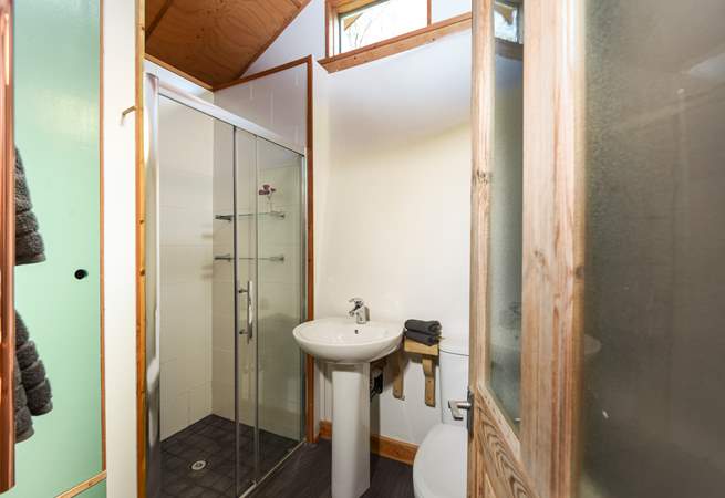 Another view of the shower-room, with WC and wash-basin.