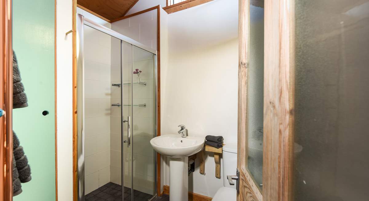 Another view of the shower-room, with WC and wash-basin.