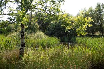 There are lovely walks around the lake area into a wooded area.