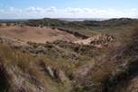 The UNESCO World Heritage Site at Braunton Burrows - 1000 hectares of sand dunes leading to the three mile long beach.