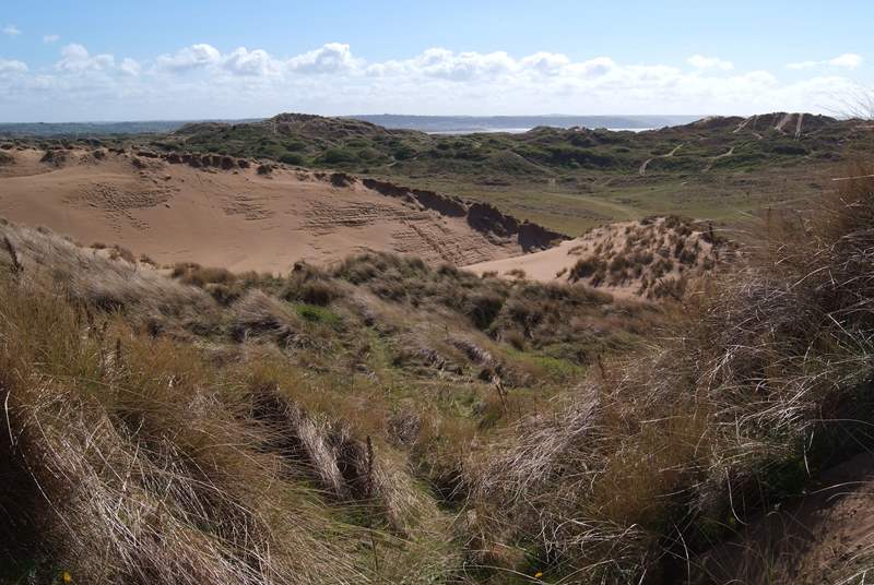 The UNESCO World Heritage Site at Braunton Burrows - 1000 hectares of sand dunes leading to the three mile long beach.