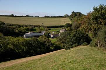 The grounds of Wood Farm are private and secure.
