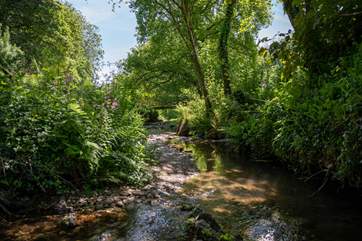 Anyone for a paddle! This fabulous stream can be found only moments away within the grounds of Wood Farm.
