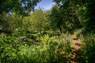 Glorious walks and grounds can be found right on your doorstep.