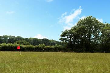 You can even practice your golf skills in the one hole golf green in the paddock at the side of the cabin.