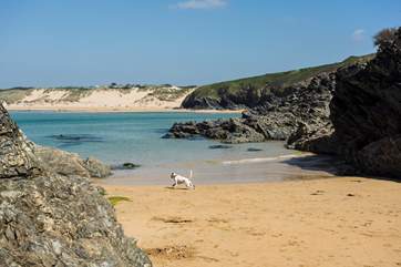 Take your four-legged friend along, enjoy long beach walks and discover hidden coves.