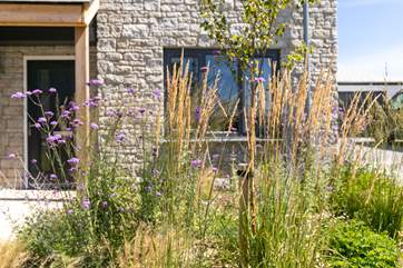 Rocksea has been planted with local shrubs all chosen to resemble plants you will stumble across on the coast paths.