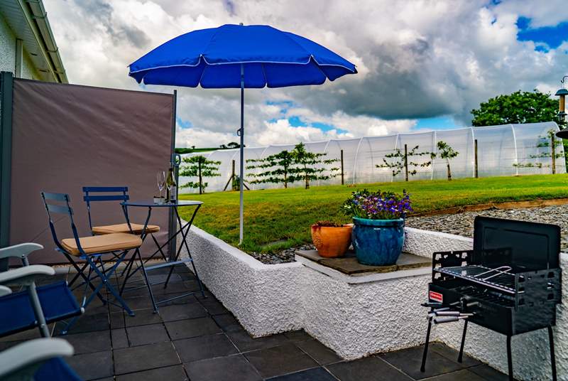 Welcome to Viewtown Linhay.
The screened private patio area has a wonderful view of the garden, making it the perfect spot for a barbecue and al fresco dining.