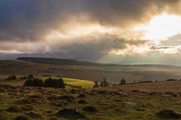 Dartmoor is a magical place for a day of exploring.