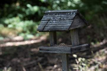 Nature abounds here and you will get to enjoy many varieties of birds.