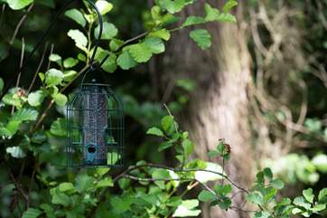 Keep an eye out for the local birdlife.