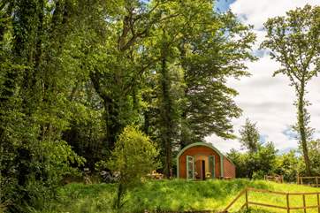 Enjoy lazy days in the sun surrounded by wildlife.