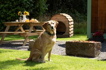 Even your four-legged friend has a mini pod home! They are welcome in the big pod too.