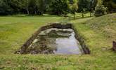 Situated a little distance from the side of The Old Mill is this pretty pond (please take care with younger guests and dogs). You'll be sure to spot the colourful dragonflies here. - Thumbnail Image