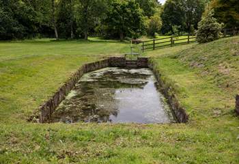 Situated a little distance from the side of The Old Mill is this pretty pond (please take care with younger guests and dogs). You'll be sure to spot the colourful dragonflies here.