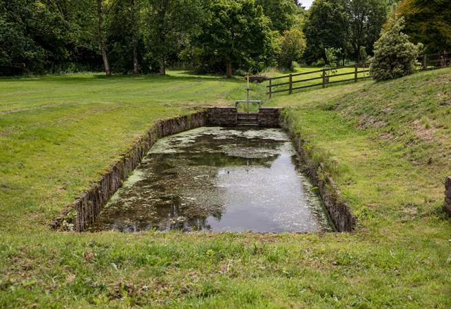 Situated a little distance from the side of The Old Mill is this pretty pond (please take care with younger guests and dogs). You'll be sure to spot the colourful dragonflies here.